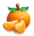 Laranja Fortune Tiger