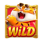 Wild Fortune Tiger