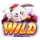 Wild Fortune Rabbit