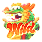 Wild Fortune Dragon