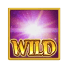 Wild Midas Fortune