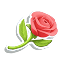 Flor Reel Love